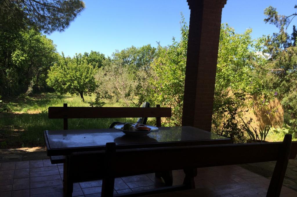 Agriturismo Il Poderino Bibbona Habitación foto